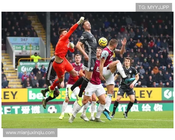 水晶宫队主教练战术策略详解及球队战术调整对比赛的影响